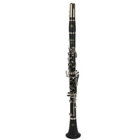 Buffet Prodige Clarinet in B RDG Woodwinds Inc